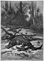 Die Gartenlaube (1894) b 577.jpg Krokodile und Krokodilwächter. Nach einer Originalzeichnung von F. Specht (S)
