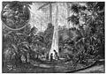 File:Die Gartenlaube (1899) b 0341.jpg (S) Der Palmengarten zu Leipzig: das Innere des Palmenhauses Nach der Natur gezeichnet von Ernst Kiesling