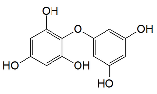 <span class="mw-page-title-main">Diphlorethol</span> Chemical compound