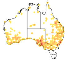 Map of reports in Australia, Atlas of Living Australia