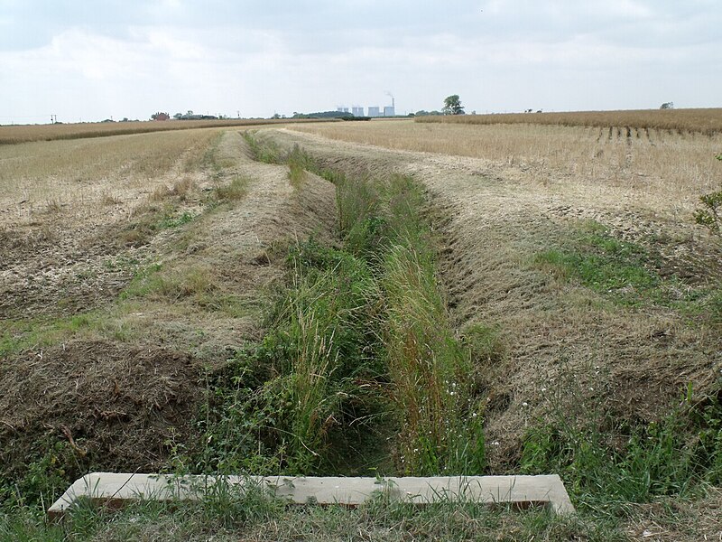 File:Drain off Wooden Lane - geograph.org.uk - 2529806.jpg