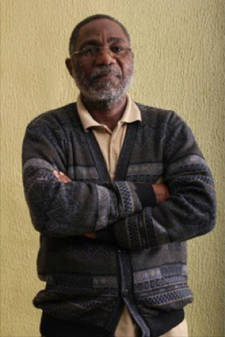 <span class="mw-page-title-main">Dul Johnson</span> Nigerian filmmaker and author (born 1953)