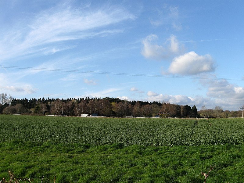 File:Eight Acres - geograph.org.uk - 1802477.jpg