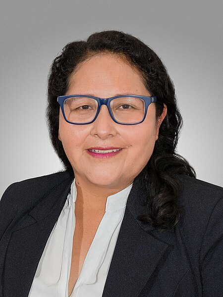 File:Elsa Alí Ramos. Official portrait, 2020. Chamber of Deputies of Bolivia.jpg