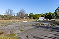 * Nomination Empty lot by Dean Ave, Christchurch --Podzemnik 07:28, 15 December 2019 (UTC) * Promotion  Support Good quality. --Tournasol7 08:48, 15 December 2019 (UTC)