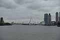 Erasmus Bridge @ Harbour Tour @ Spido @ Rotterdam (30267525980).jpg