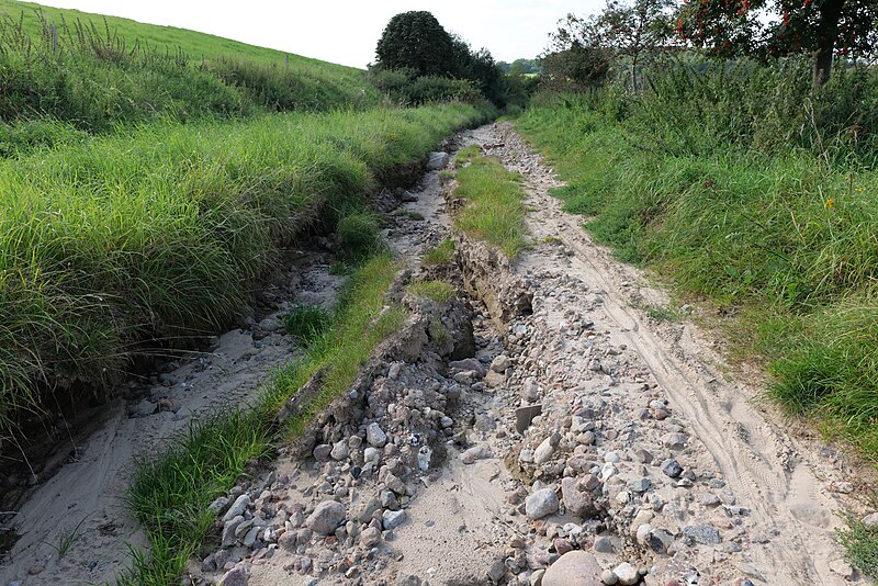 File:Eroded track in Schwinkendorf 2021-09-07 15.jpg