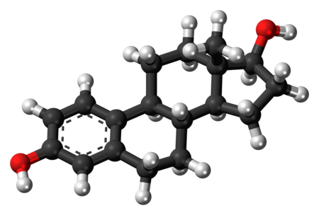 A ball-and-stick model of estradiol.