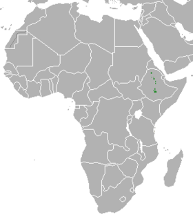 Ethiopian Wolf area.png