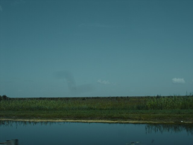 File:Everglades_2012_-_B.JPG