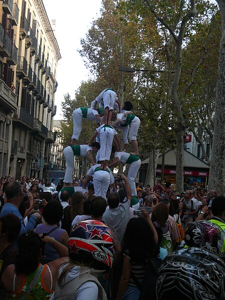 File:Falcons a la Mercè 2007 P1080420.JPG