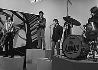 Fanclub1967Animals1 (cropped).jpg