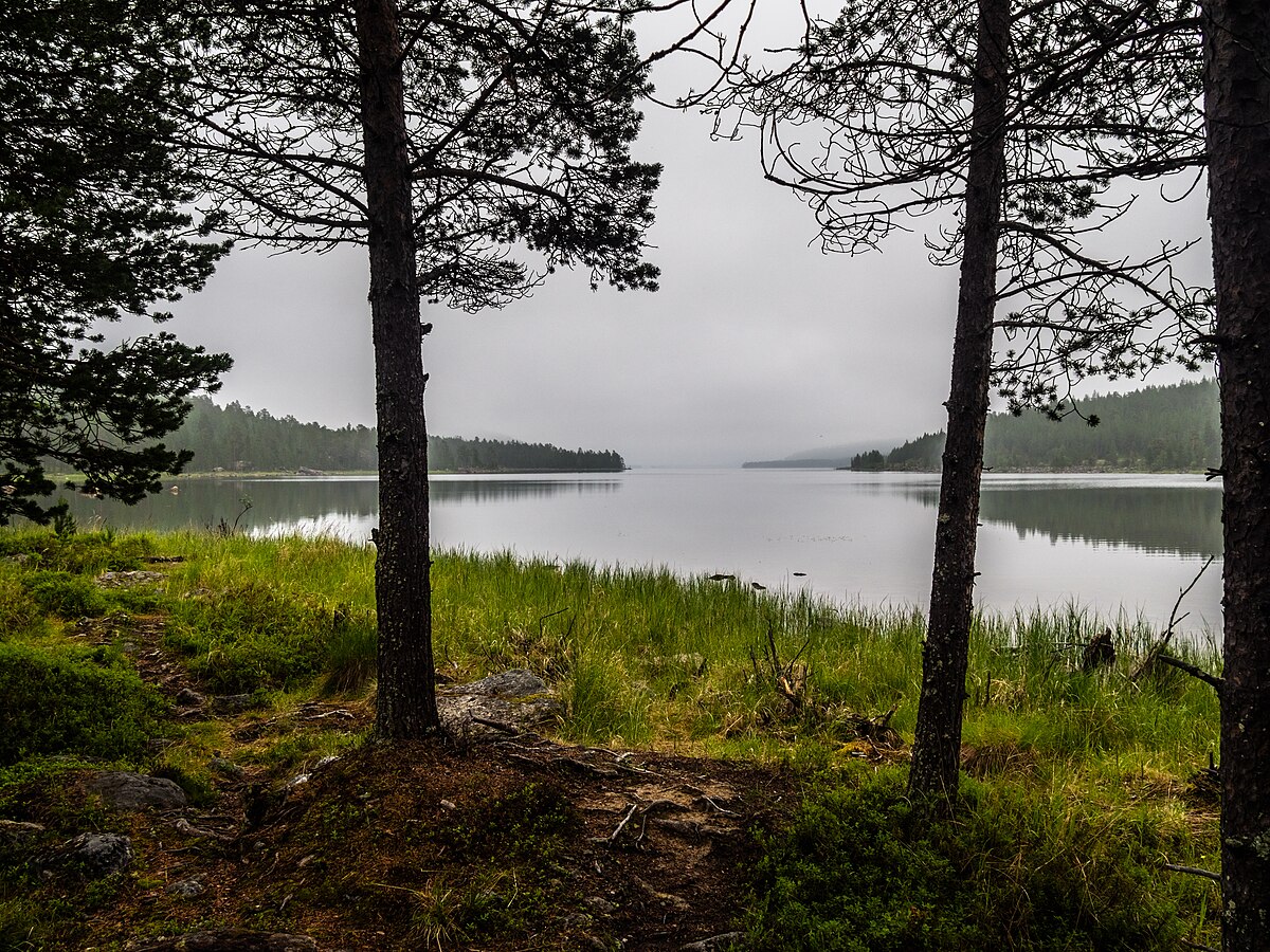 Озеро в финляндии 5. Финляндия озеро Паасселкя. Финляндия озеро кулугу.