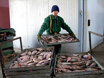 A fish factory in Aralsk, Kazakhstan.