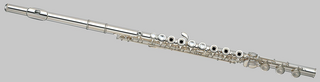 <span class="mw-page-title-main">Western concert flute</span> Transverse woodwind instrument