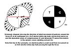 Thumbnail for Focal mechanism