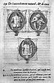 Foetal figures; Mauriceau, Des maladies...1668 Wellcome L0004294.jpg