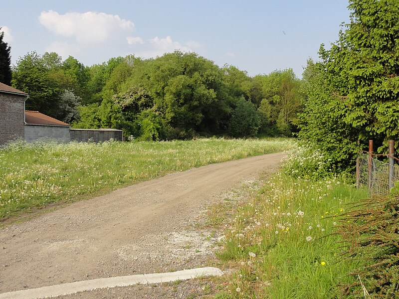 File:Fresnes-sur-Escaut - Fosse Grand Wez des mines d'Anzin (C).JPG