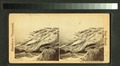 From the top of the cliff (NYPL b11707527-G90F257 009F).tiff