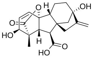 ファイル:Gibberellic acid.svg