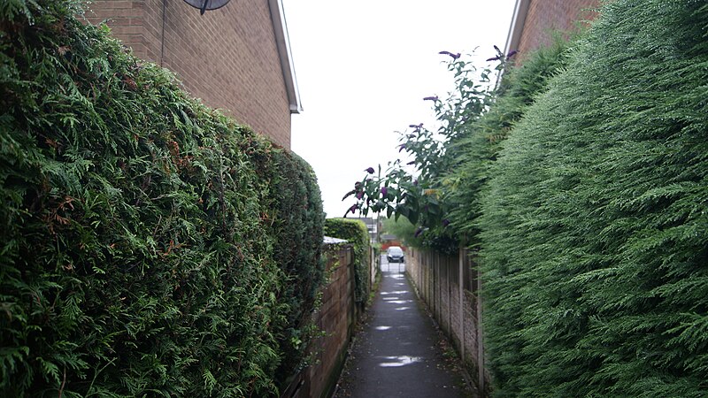 File:Ginnel between Beechwood Rise and Dove Close, Wetherby (27th July 2019).jpg