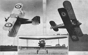 Gloster Putter c.png
