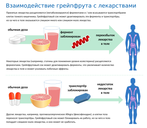 Grapefruit Juice and Medicine May Not Mix (6774935740) - ru.svg