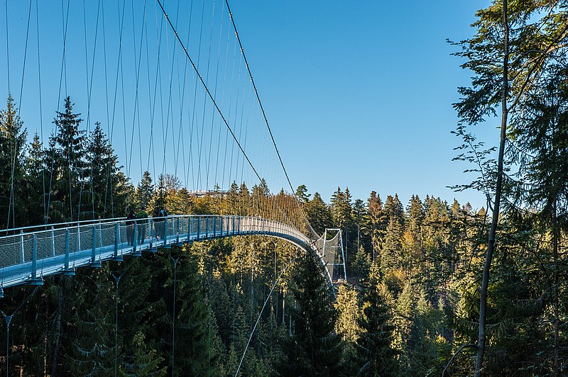 File:Hängebrücke Wildbad-pjt.jpg