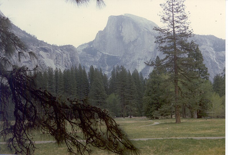 File:Half Dome w Valley.jpg