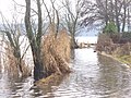 Haveluferweg Unter! (Havel Shore Way Flooded!) - geo.hlipp.de - 31726.jpg