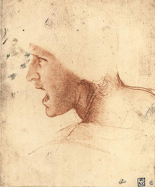 File:Head of a Warrior - Da Vinci 2.jpg