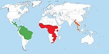 Historical distribution of the three extant Heliornithids. Heliornis fulica in green. Heliornithidae.jpg