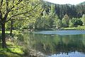 Lac Helmbachweiher