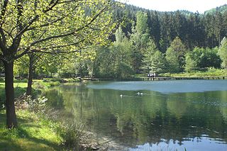 Helmbach (Speyerbach) River in Germany