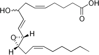 Hepoxilin Chemical compound