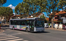 Image illustrative de l’article Réseau de bus Arlequin