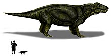 Hipposaurus boonstrai copia.jpg