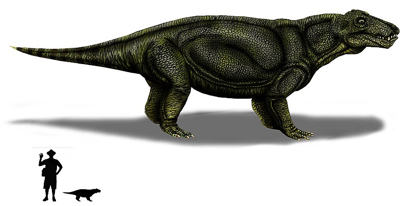 File:Hipposaurus boonstrai copia.jpg