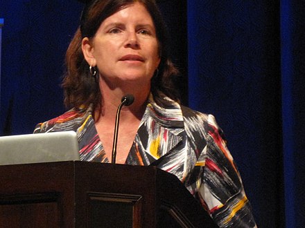 Holly Willis at a conference, 2010 Holly Willis.jpg