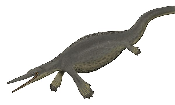 Life restoration of Hupehsuchus nanchangensis