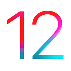 iOS 12 App Upgrade Service