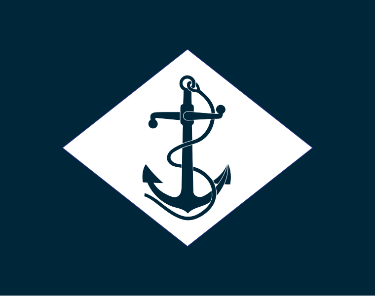 File:Infantry battalion flag of the United States Navy.svg