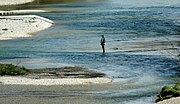 Angler in der Isar,