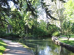 Le Raines, ruisseau où vivent cygnes et canards