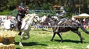 Jousting renfair