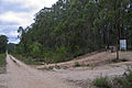 Junction with Gipps Lakes Discovery Trail