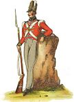 Linieninfanterie der King’s German Legion, ca. 1815, mit „Belgischem“ Tschako und den seit 1768 in der britischen Armee üblichen runden Ärmelaufschlägen