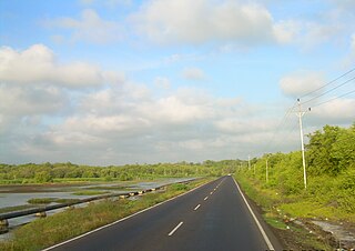 Maracaibo dry forests