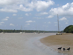 Kourou river black birds boats.jpg