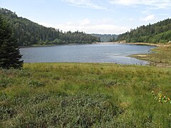 Lande Lake (przegląd) .jpg